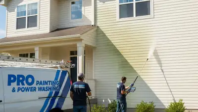 Vinyl siding pressure cleaning in Baltimore, MD for algae and grime removal